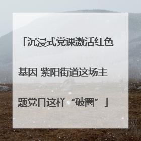 沉浸式党课激活红色基因 紫阳街道这场主题党日这样“破圈”