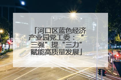 河口区蓝色经济产业园党工委：“三强”提“三力”赋能高质量发展