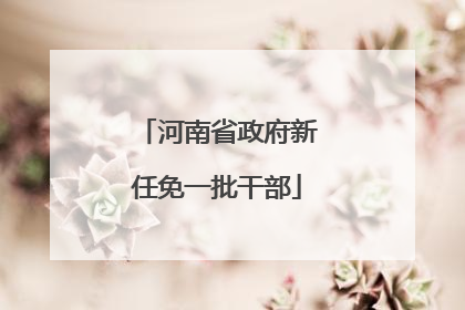 河南省政府新任免一批干部