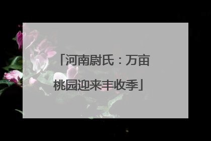 河南尉氏：万亩桃园迎来丰收季