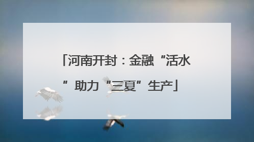 河南开封：金融“活水”助力“三夏”生产