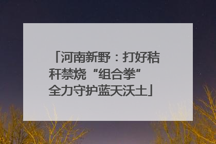 河南新野：打好秸秆禁烧“组合拳” 全力守护蓝天沃土