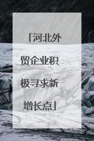 河北外贸企业积极寻求新增长点