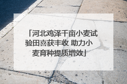 河北鸡泽千亩小麦试验田喜获丰收 助力小麦育种提质增效