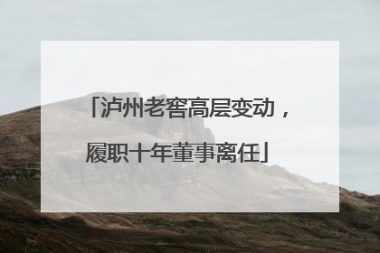 泸州老窖高层变动，履职十年董事离任