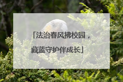 法治春风拂校园，藏蓝守护伴成长