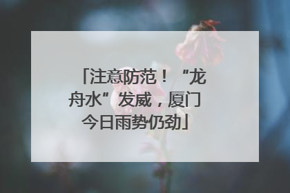 注意防范！“龙舟水”发威，厦门今日雨势仍劲