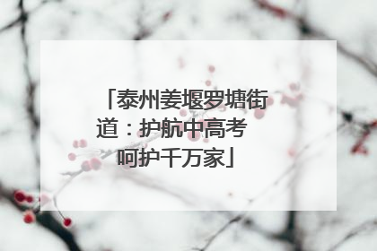 泰州姜堰罗塘街道：护航中高考 呵护千万家
