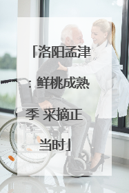 洛阳孟津：鲜桃成熟季 采摘正当时