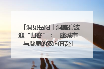 洞见岳阳丨洞庭碧波迎“归客”：一座城市与麋鹿的双向奔赴