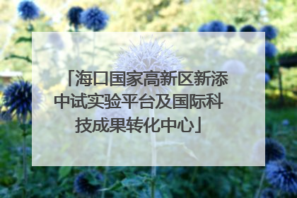海口国家高新区新添中试实验平台及国际科技成果转化中心