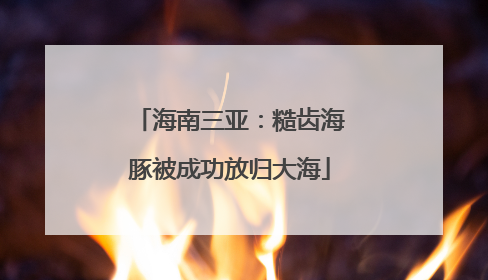 海南三亚：糙齿海豚被成功放归大海