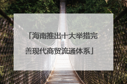 海南推出十大举措完善现代商贸流通体系