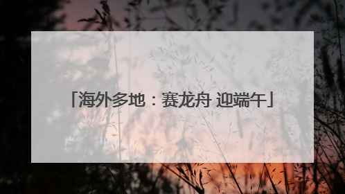 海外多地：赛龙舟 迎端午