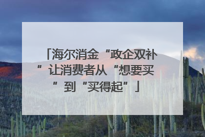 海尔消金“政企双补”让消费者从“想要买”到“买得起”