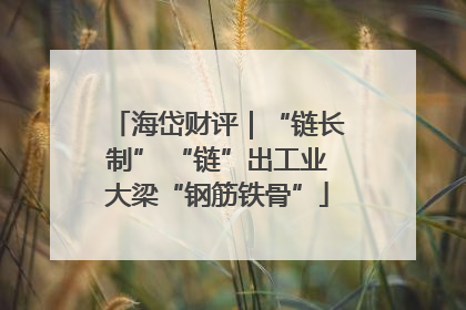 海岱财评｜“链长制” “链”出工业大梁“钢筋铁骨”