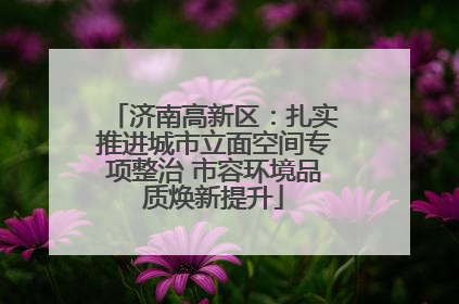济南高新区：扎实推进城市立面空间专项整治 市容环境品质焕新提升