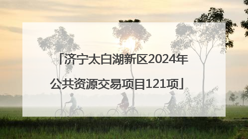 济宁太白湖新区2024年公共资源交易项目121项