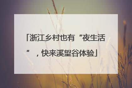 浙江乡村也有“夜生活”，快来溪望谷体验