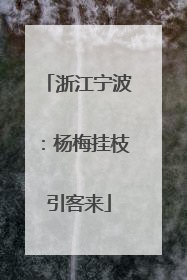 浙江宁波：杨梅挂枝引客来