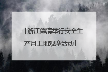 浙江德清举行安全生产月工地观摩活动