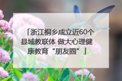 浙江桐乡成立近60个县域教联体 做大心理健康教育“朋友圈”