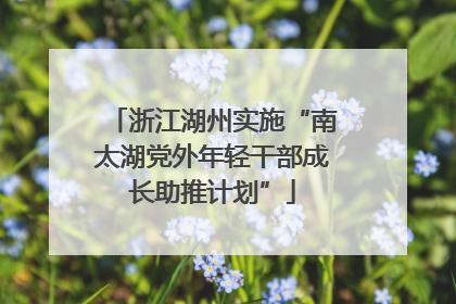浙江湖州实施“南太湖党外年轻干部成长助推计划”