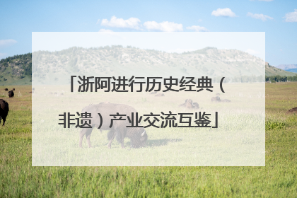 浙阿进行历史经典（非遗）产业交流互鉴