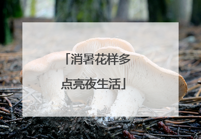 消暑花样多 点亮夜生活