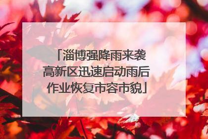 淄博强降雨来袭 高新区迅速启动雨后作业恢复市容市貌