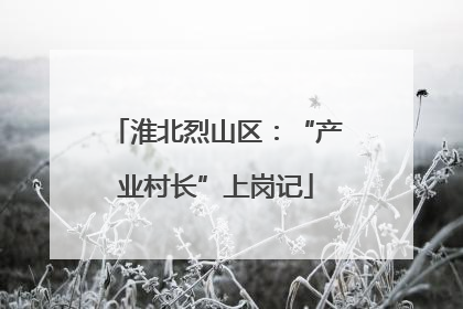 淮北烈山区：“产业村长”上岗记