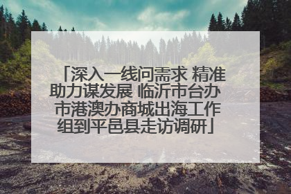 深入一线问需求 精准助力谋发展 临沂市台办 市港澳办商城出海工作组到平邑县走访调研