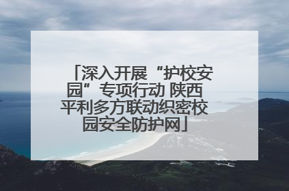 深入开展“护校安园”专项行动 陕西平利多方联动织密校园安全防护网