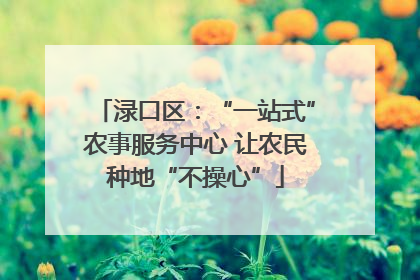渌口区：“一站式”农事服务中心 让农民种地“不操心”