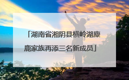 湖南省湘阴县横岭湖麋鹿家族再添三名新成员