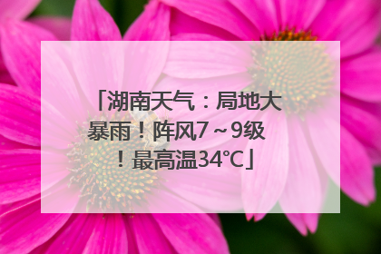 湖南天气：局地大暴雨！阵风7～9级！最高温34℃