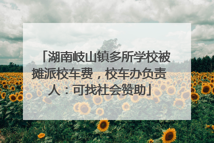 湖南岐山镇多所学校被摊派校车费，校车办负责人：可找社会赞助