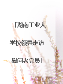 湖南工业大学校领导走访慰问老党员