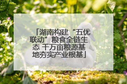 湖南构建“五优联动”粮食全链生态 千万亩粮源基地夯实产业根基