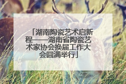 湖南陶瓷艺术启新程——湖南省陶瓷艺术家协会换届工作大会圆满举行