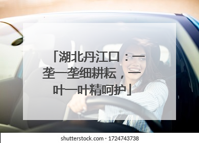 湖北丹江口：一垄一垄细耕耘，一叶一叶精呵护