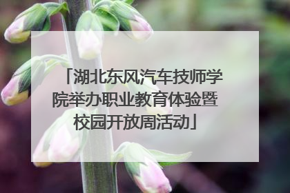 湖北东风汽车技师学院举办职业教育体验暨校园开放周活动