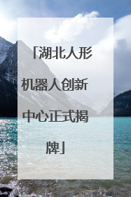 湖北人形机器人创新中心正式揭牌