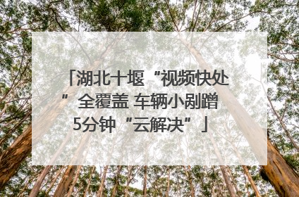 湖北十堰“视频快处”全覆盖 车辆小剐蹭5分钟“云解决”