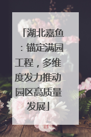 湖北嘉鱼：锚定满园工程，多维度发力推动园区高质量发展