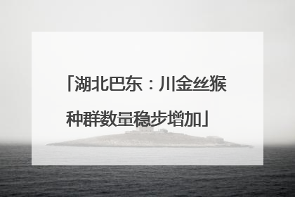 湖北巴东：川金丝猴种群数量稳步增加