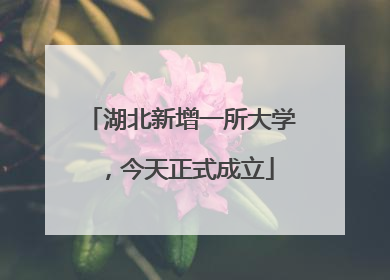 湖北新增一所大学，今天正式成立