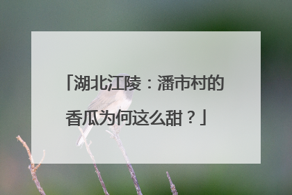 湖北江陵：潘市村的香瓜为何这么甜？