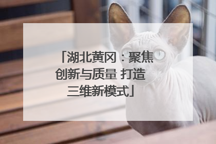 湖北黄冈：聚焦创新与质量 打造三维新模式