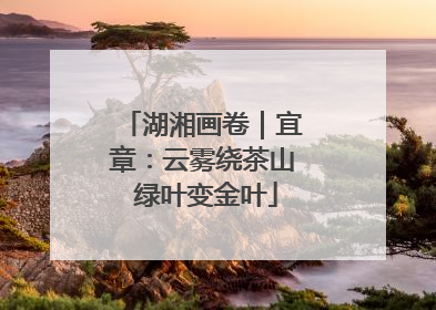 湖湘画卷｜宜章：云雾绕茶山 绿叶变金叶